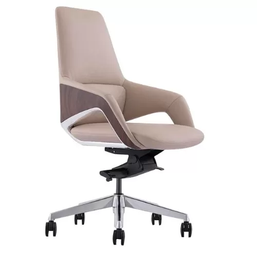 Meeting Chair BS-5
