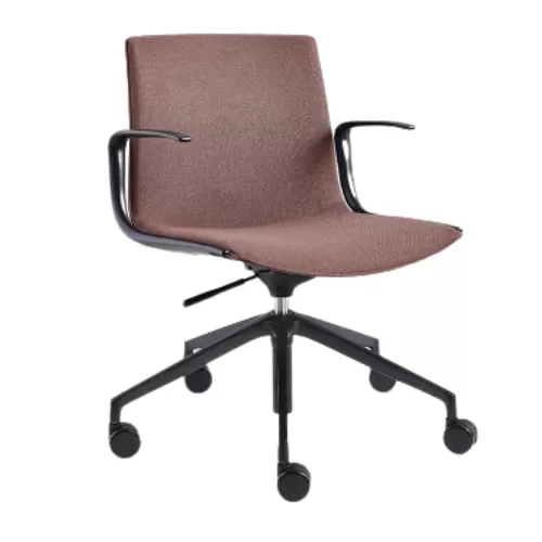 Meeting Chair BS-10