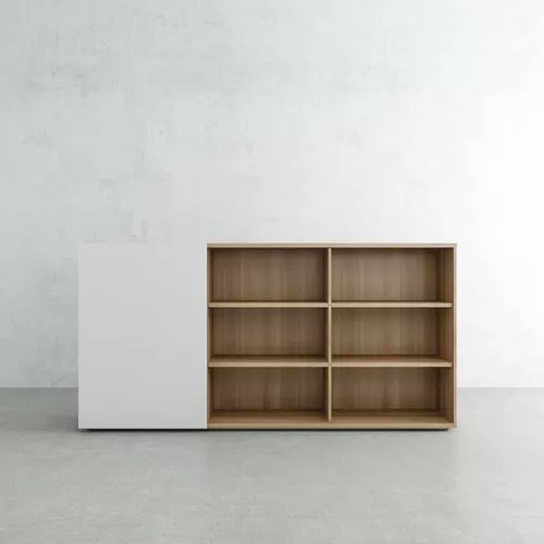 Office Cabinet Hanging Door BS-15