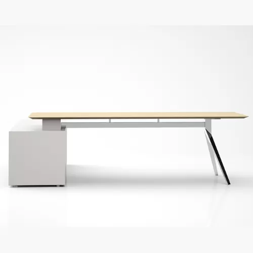 Ray 1 - Executive Desk