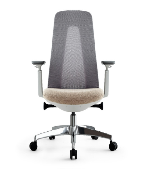 Medium Back Chair BS-5