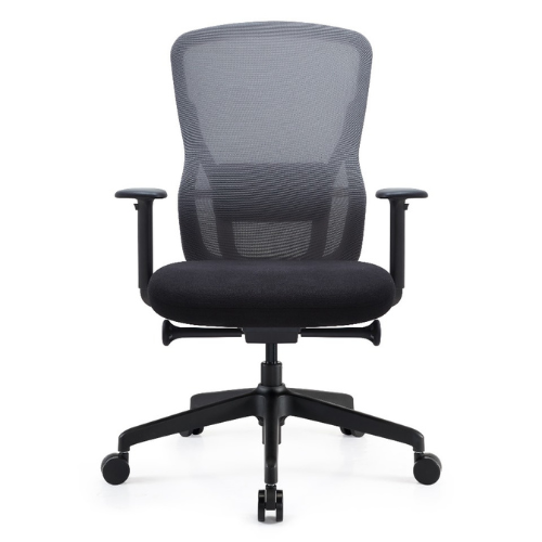 Ergonomic Chair BS-4