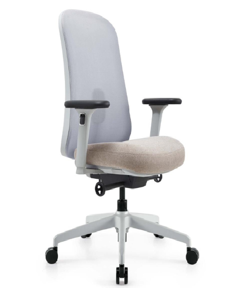 Medium Back Chair BS-10