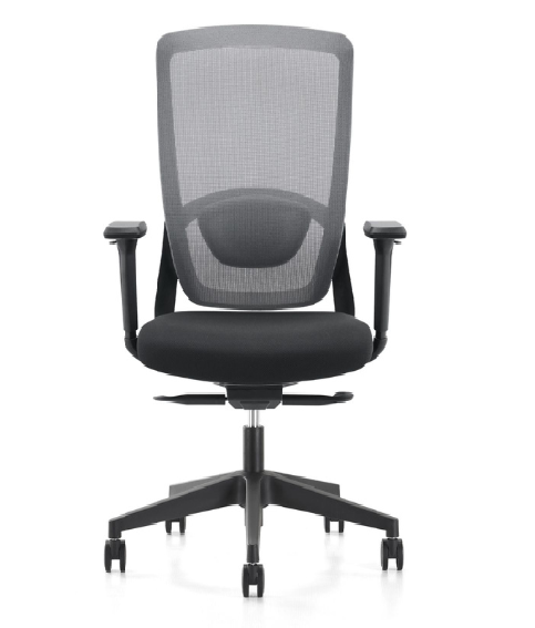 Ergonomic Chair BS-7