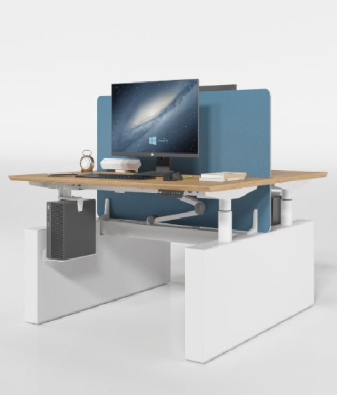 Desk (2 Person) BS-1