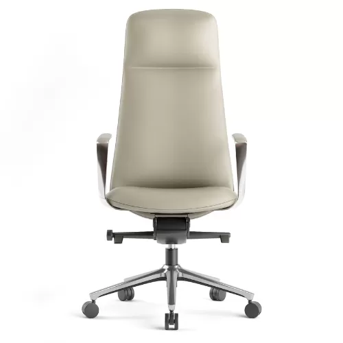 Premium High Back Chair BS-9