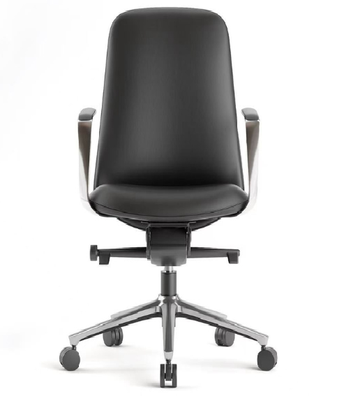 Meeting Chair BS-11