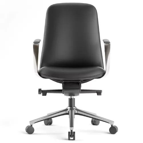 Meeting Chair BS-11
