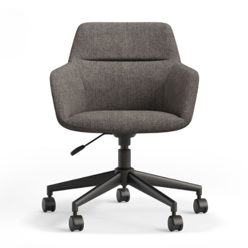 Meeting Chair BS-12