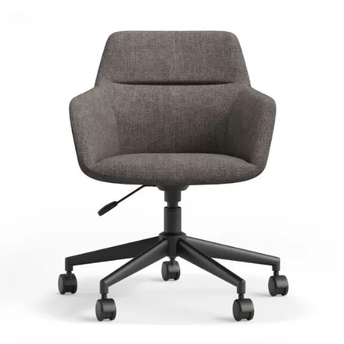 Meeting Chair BS-12
