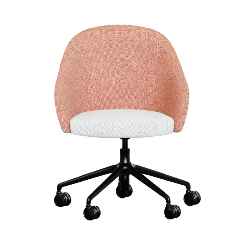 Meeting Chair BS-29
