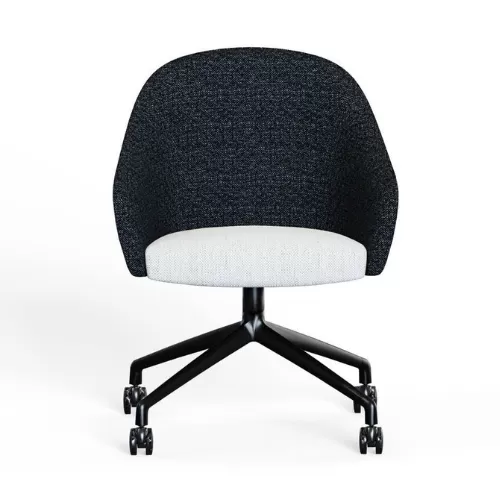 Meeting Chair BS-30