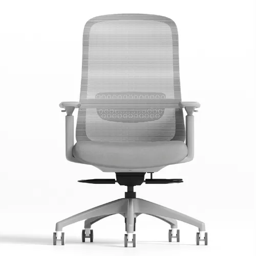 Medium Back Chair BS-24