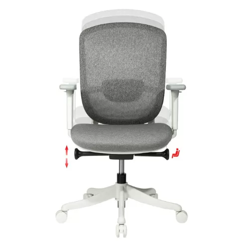 Medium Back Chair BS-27