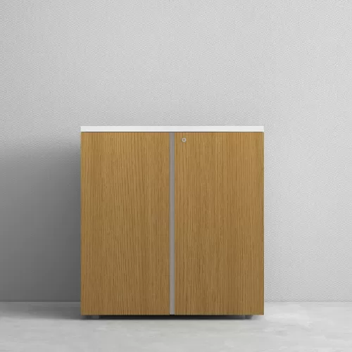 Office Cabinet Low Height BS-2
