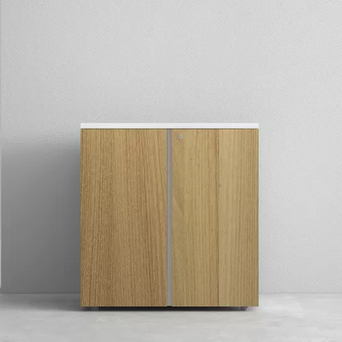 Office Cabinet Low Height BS-3