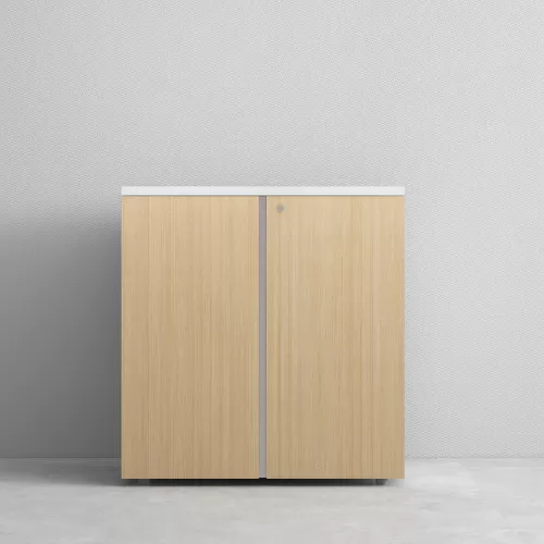Office Cabinet Low Height BS-4