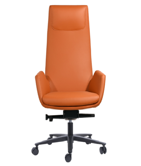 Meeting Chair BS-32