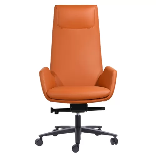 Meeting Chair BS-32