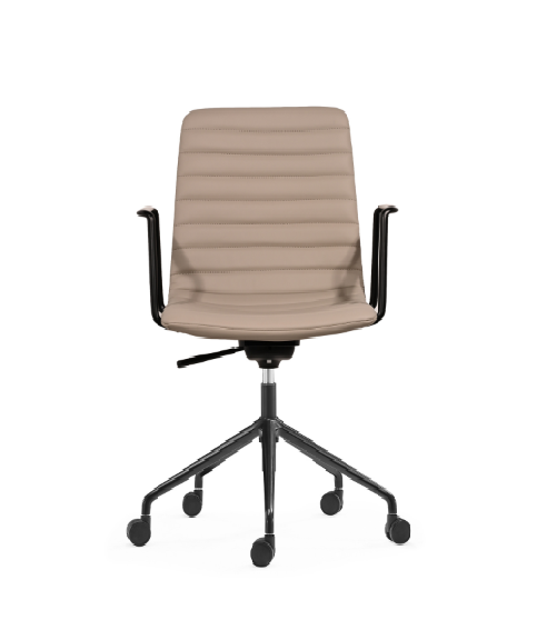 Meeting Chair BS-36