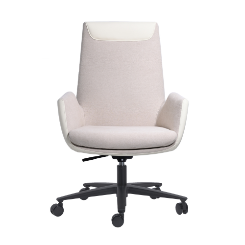 Meeting Chair BS-37