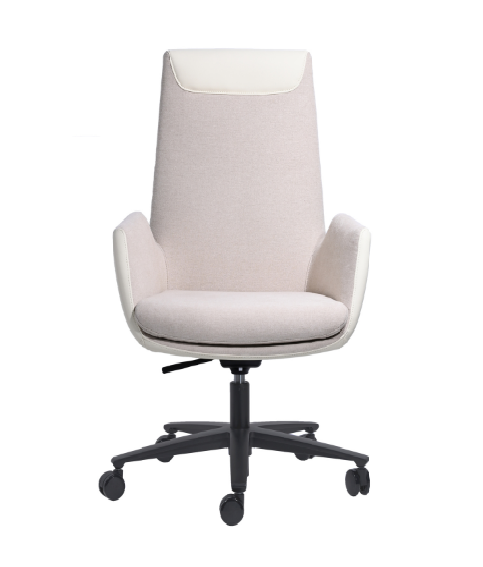 Meeting Chair BS-37