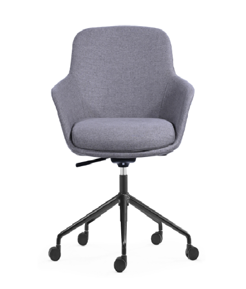Meeting Chair BS-40