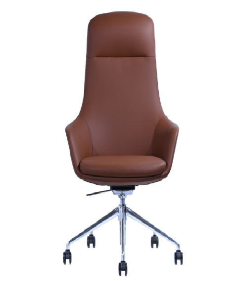Meeting Chair BS-43