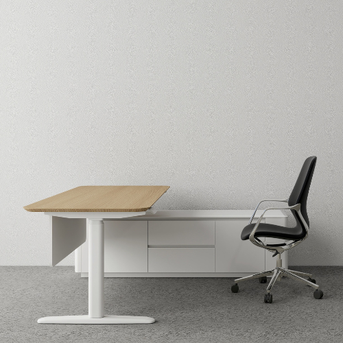 ErgoRise Manager Desk BS-2