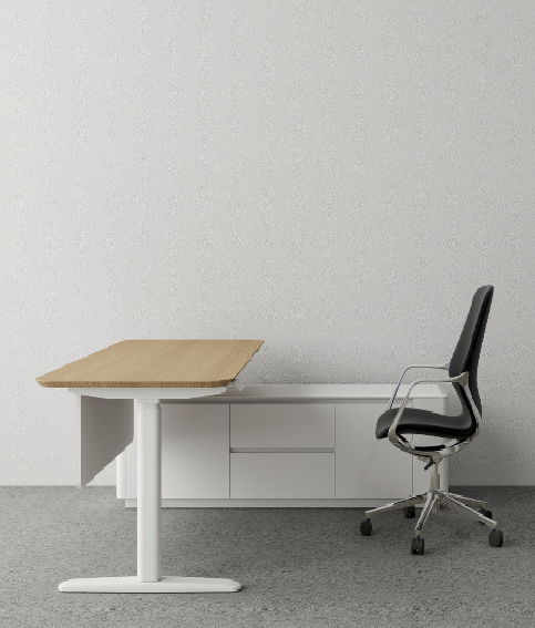 ErgoRise Manager Desk BS-2