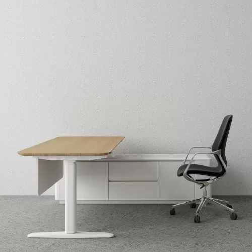 ErgoRise Manager Desk BS-2