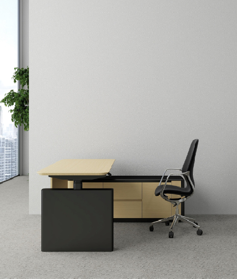 Aura Executive Desk BS-1