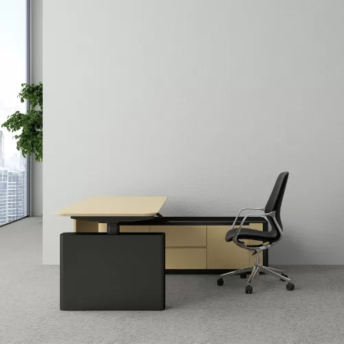 Aura Executive Desk BS-1