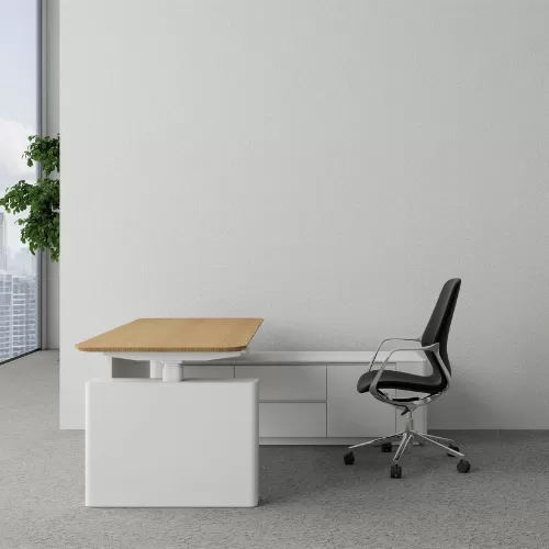 Aura Executive Desk BS-2