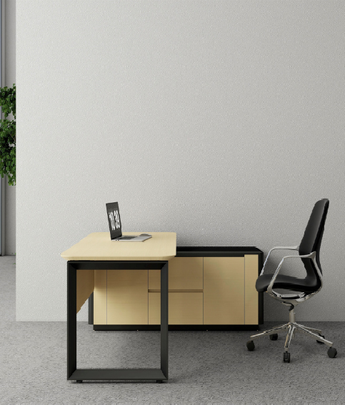 Loop Leg 2.0 Manager Desk BS-1