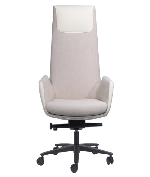 Premium High Back Chair BS-19