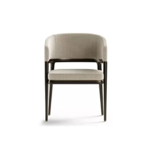 Dining Chair BS-2