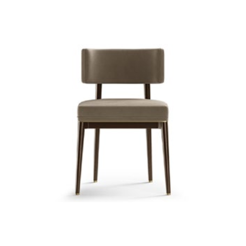 Dining Chair BS-3