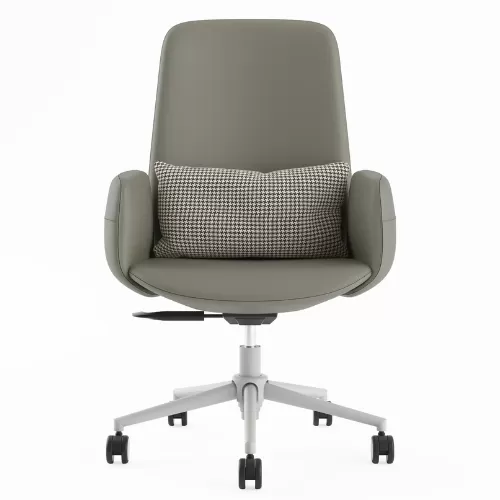 Meeting Chair BS-4