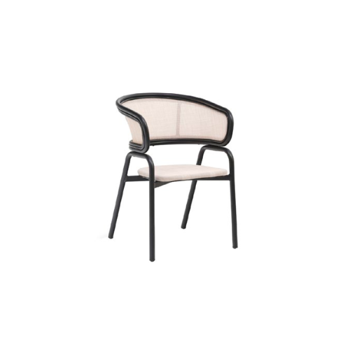 Outdoor Dining Chair BS-2