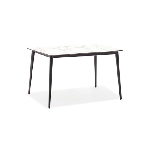 Outdoor Dining Table BS-10