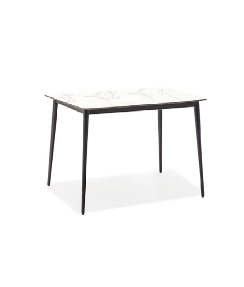 Outdoor Dining Table BS-10