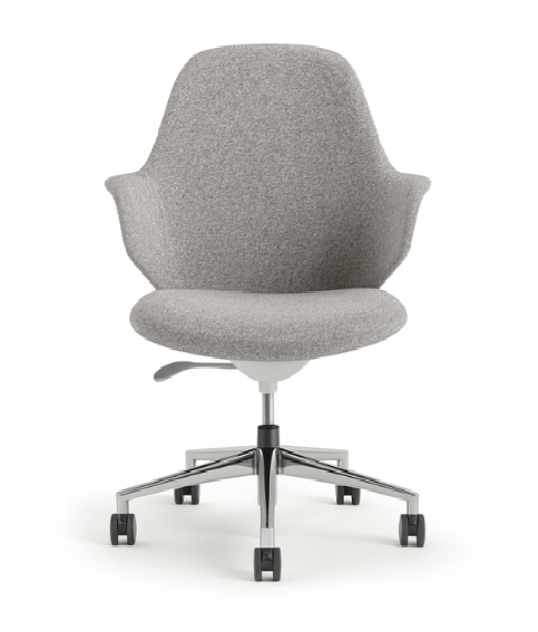 Meeting Chair BS-46