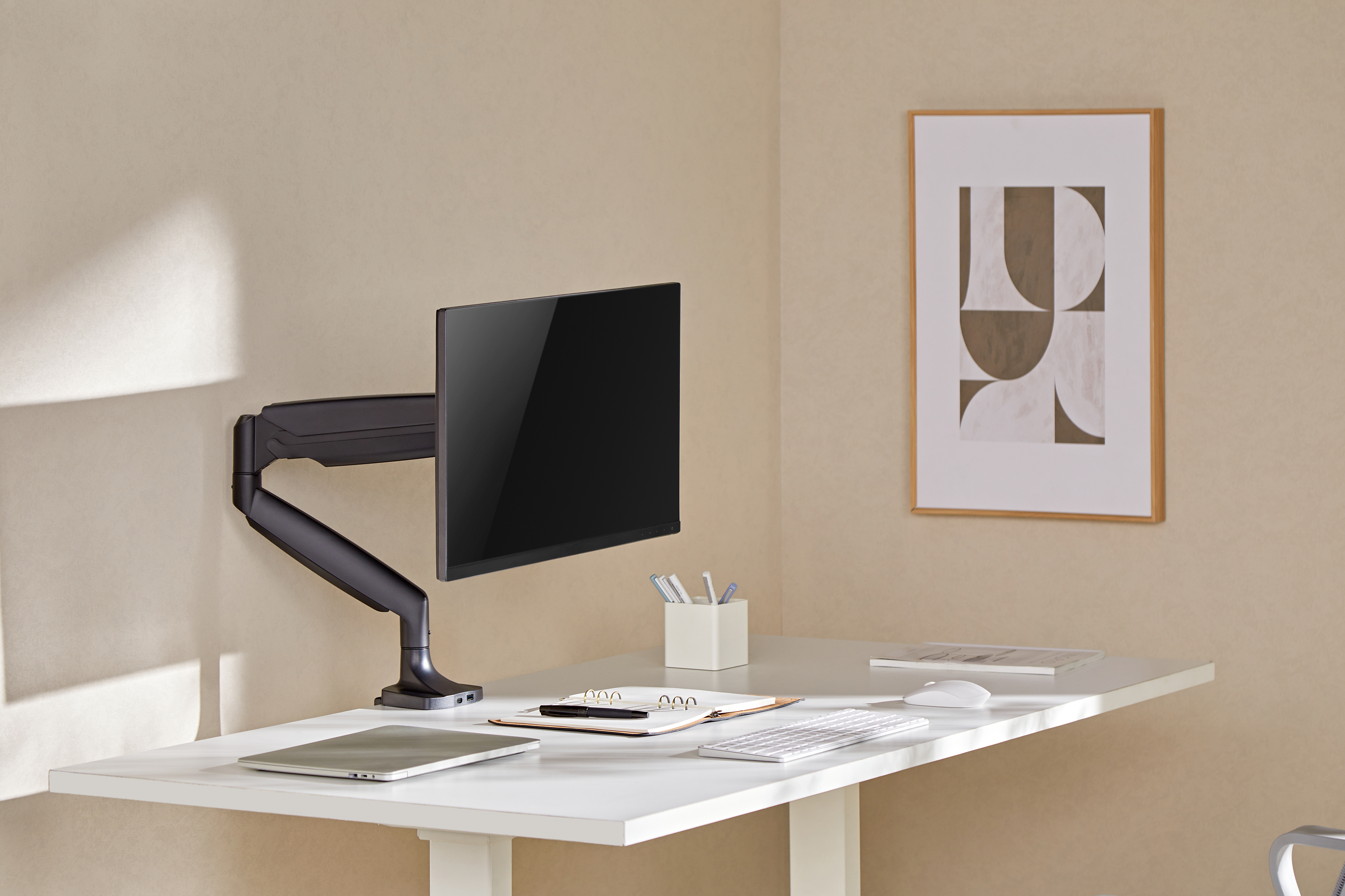 Monitor Arm BS-6